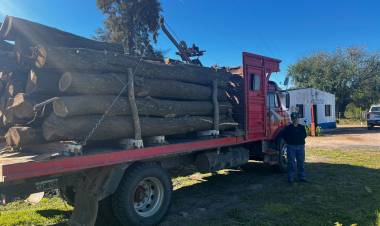 INCAUTAN UN CAMIÓN CON 7 MIL KILOS DE ALGARROBO