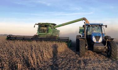 EL GOBIERNO OFICIALIZÓ EL ESQUEMA DE REDUCCIÓN GRADUAL DE LAS RETENCIONES PARA EL AGRO