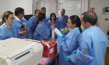 FORTALECEN LA VIGILANCIA DEL HANTAVIRUS Y OTRAS FIEBRES HEMORRÁGICAS EN LAS AMÉRICAS