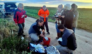 BAJOS SUBMERIDIONALES: EL GOBIERNO PROVINCIAL AVANZA CON EL MONITOREO DE LA CALIDAD DEL AGUA