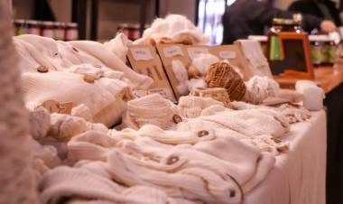 LA ÚNICA EXPERIENCIA CON ALGODÓN AGROECOLÓGICO INDUSTRIALIZADO SE PRESENTA EN PALERMO