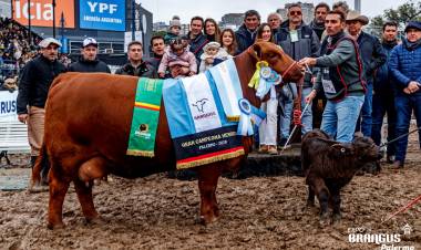 ORGULLO CHAQUEÑO EN PALERMO: CABAÑAS DE LA PROVINCIA BRILLARON EN LA EXPOSICIÓN RURAL CON IMPORTANTES PREMIOS
