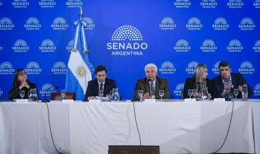 EL SENADO INICIA EL DEBATE DEL SÚPER RIGI PARA ATRAER INVERSIONES EN TECNOLOGÍA Y MINERALES CRÍTICOS