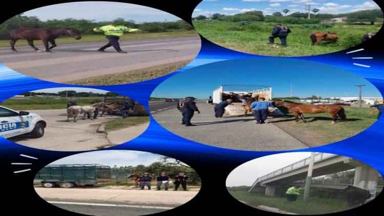 POLICÍA CAMINERA CONTINÚA LA TOMA DE ACCIONES SOBRE ESTA PROBLEMÁTICA DEL TRÁNSITO