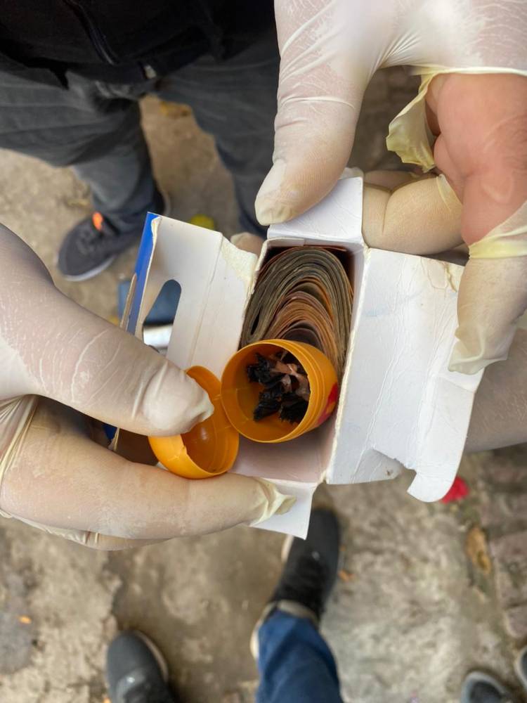 TRAS ALLANAMIENTO SECUESTRAN DROGA Y UN ARMA DE FUEGO EN COLONIA ELISA  