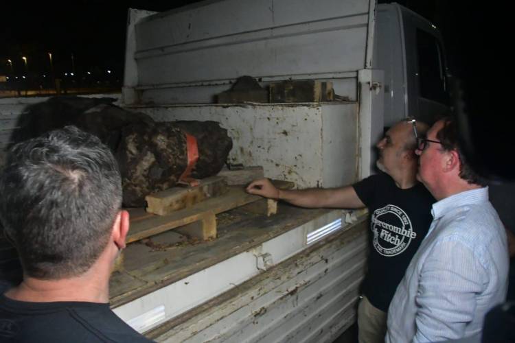 EL GOBIERNO DEL CHACO RECUPERÓ DOS METEORITOS