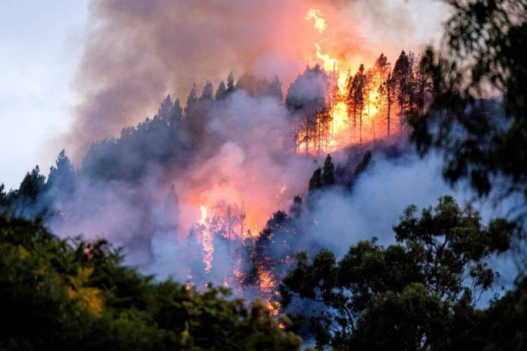 LOS INCENDIOS FORESTALES EXTREMOS SE HAN DUPLICADO EN LOS ÚLTIMOS 20 AÑOS