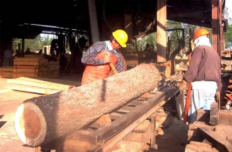FORESTALES PIDEN RECIBIR UN ADICIONAL DEL VALOR DE LA MADERA