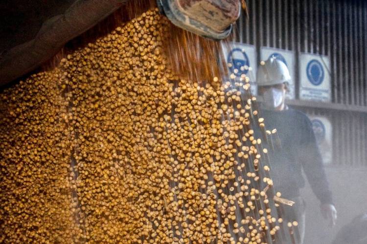 LA LIQUIDACIÓN DE DÓLARES ES EN CUENTAGOTAS