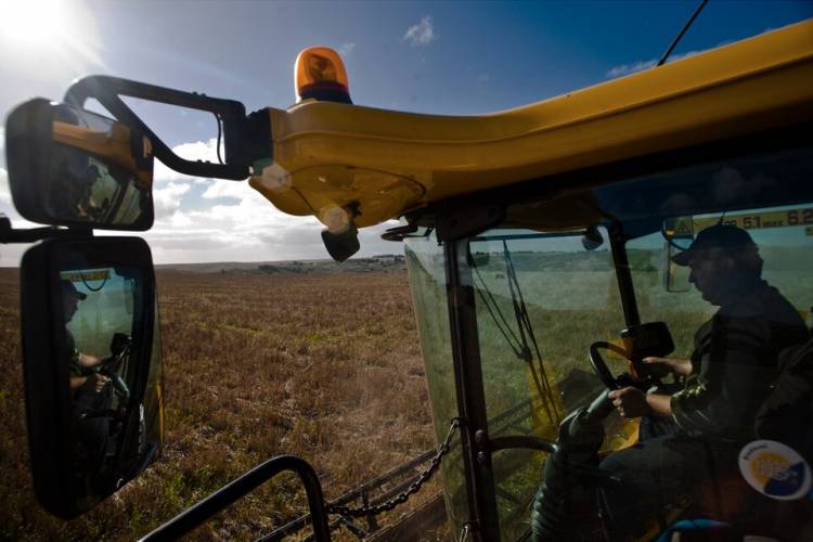 LA SOJA Y EL MAÍZ SIGUEN EN BAJA