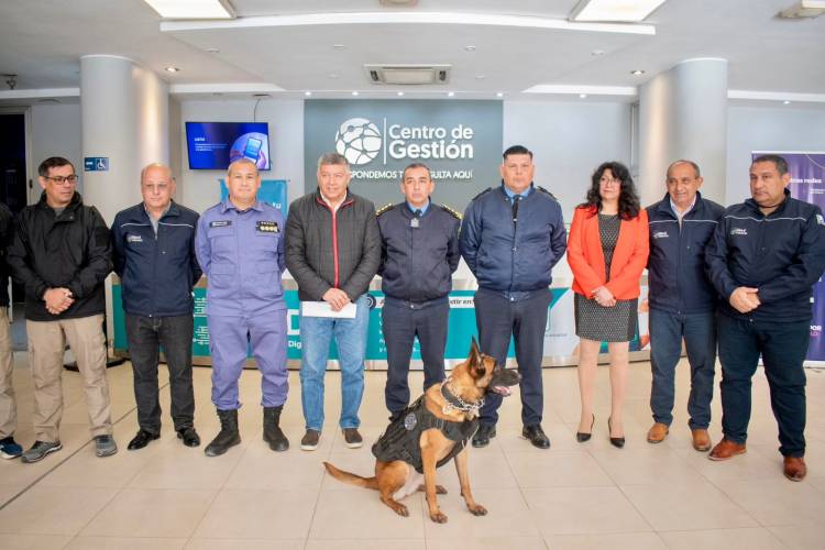 EXITOSO OPERATIVO DE SEGURIDAD: SE LOGRÓ SACAR 50 KILOS DE MARIHUANA DE LAS CALLES DE SÁENZ PEÑA
