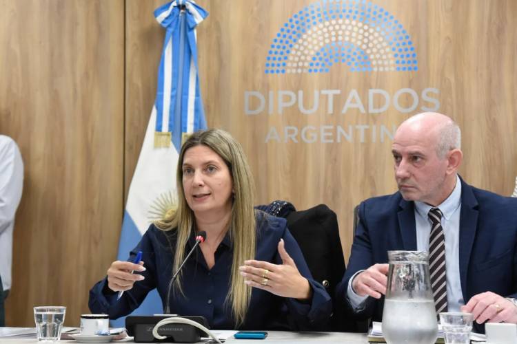 DIPUTADOS NO PUDO AVANZAR EN LA CREACIÓN DE COMISIÓN INVESTIGADORA SOBRE LOS LIBERTARIOS QUE VISITARON A REPRESORES