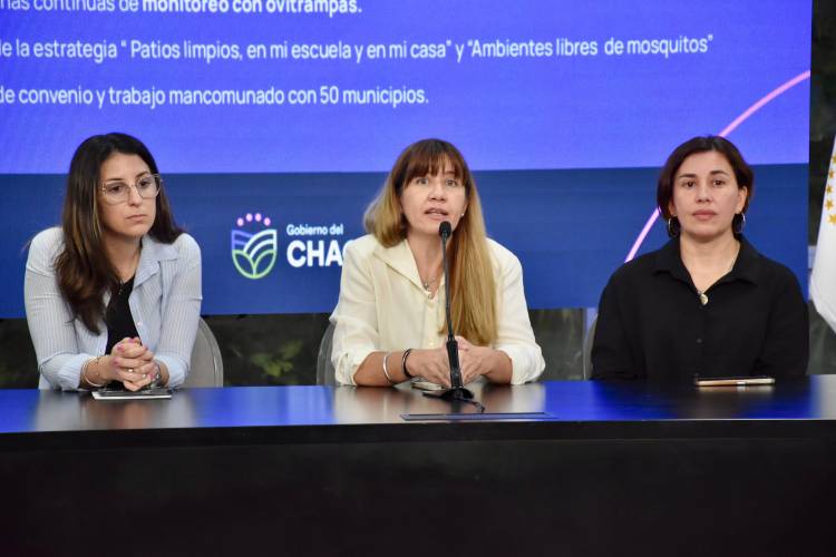 SALUD REALIZÓ UN BALANCE DEL TRABAJO EN TERRITORIO PARA LA PREVENCIÓN DE ENFERMEDADES TRANSMITIDAS POR MOSQUITOS (ETM)