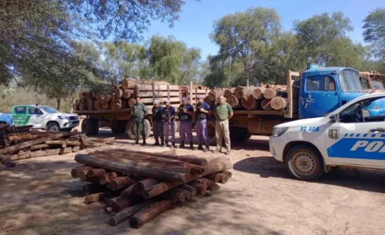 GUSTAVO VÁZQUEZ:"EL TRÁFICO ILEGAL DE MADERA ES ENORME Y SE PLANTEAN MEDIDAS URGENTES"