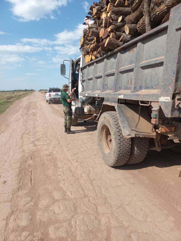 FUE DEMORADO CON LEÑA DE QUEBRACHO BLANCO SIN GUÍA FORESTAL