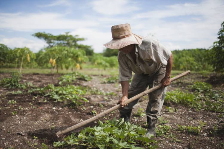  POR LA CRISIS, PEQUEÑOS AGRICULTORES PIDEN UNA REUNIÓN CON GOBERNADORES