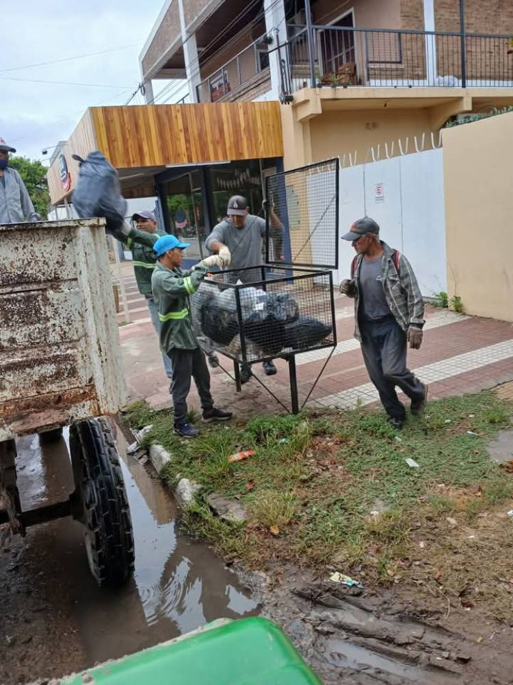 CON CUATRO CAMIONES EL MUNICIPIO RECORRE LA CIUDAD REALIZANDO LA RECOLECCION DE RAMAS