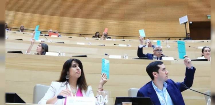 DESDE EL PARLASUR TRANSMITIERON SU "PREOCUPACIÓN" A EMBAJADORES DEL MERCOSUR POR EL PEDIDO DE RENUNCIA DE MILEI A KICILLOF