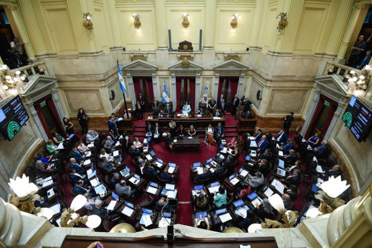 EL SENADO APURA UNA DEFINICIÓN TRAS EL RECHAZO DE LA CORTE A LA LICENCIA DE LIJO