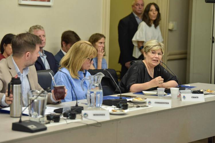 CHACO PRESENTE EN EL CONSEJO FEDERAL DE EDUCACIÓN: LAS JURISDICCIONES AVANZAN EN LOS PLANES DE ALFABETIZACIÓN Y EVALUACIÓN DE APRENDIZAJES