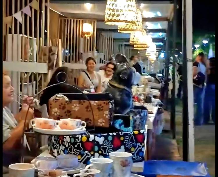 SE REALIZÓ EXITOSAMENTE LA 1º EXPO DEL EMPRENDEDOR CHAQUEÑO A CIELO ABIERTO