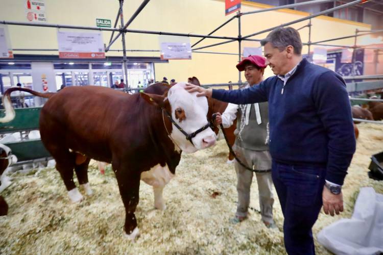 EL GOBERNADOR ZDERO PRESENTE EN LA EXPO RURAL DE PALERMO: EL CHACO MUESTRA SU POTENCIAL PRODUCTIVO ANTE TODO EL PAÍS