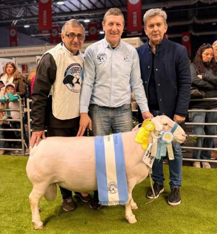CHACO CELEBRA UN NUEVO TRIUNFO GANADERO EN LA EXPO RURAL 2025