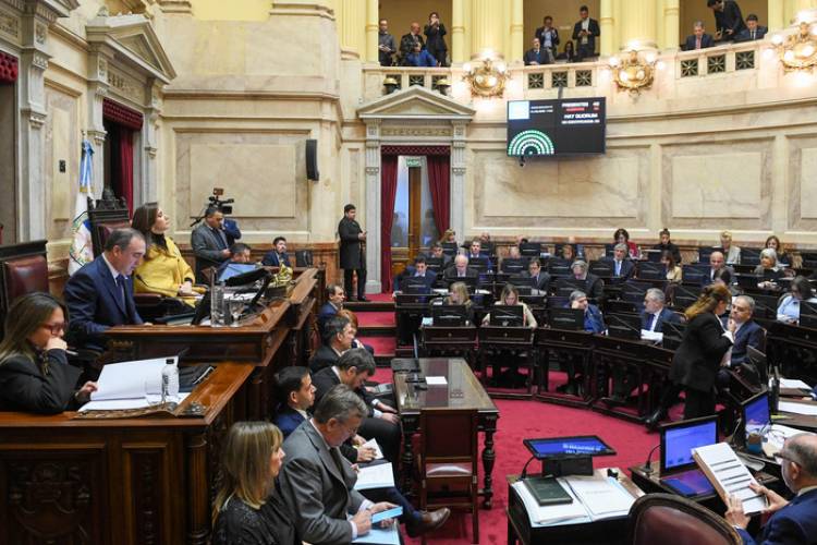 EL SENADO INTENTARÁ FRENAR LOS VETOS DE MILEI