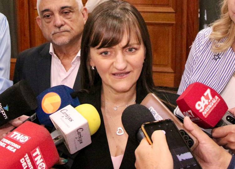 TARIFA DIFERENCIAL Y SEGUNDO PUENTE: “CAPITANICH NOS MINTIÓ DÉCADAS Y NUNCA CONSIGUIÓ NADA” ASEGURÓ SILVANA SCHNEIDER