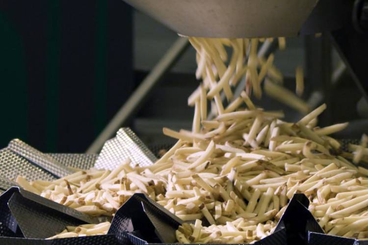 NUEVA PLANTA DE PAPAS CONGELADAS