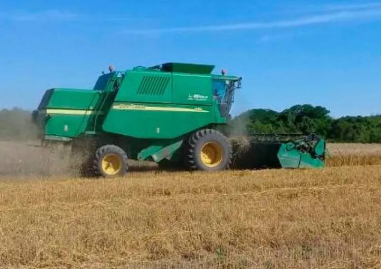 EL CHACO CONSOLIDA UNA CAMPAÑA AGRÍCOLA Y VUELVE A APOSTAR AL CRECIMIENTO DEL ALGODÓN