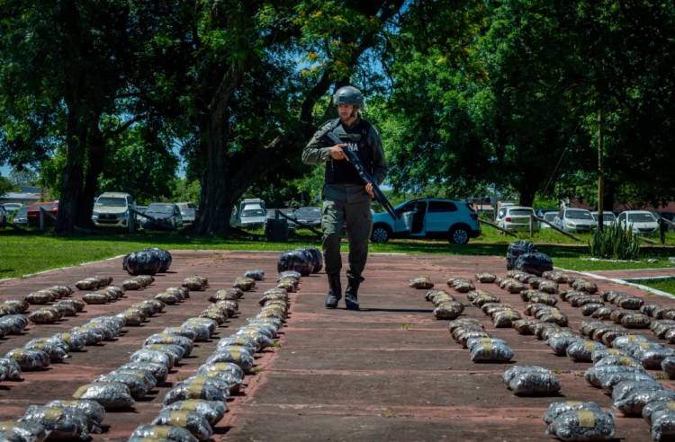 UN PRECINTO SOSPECHOSO, UNA PERRA ATENTA Y 338 KILOS DE MARIHUANA BAJO LAS CAJAS DE REPELENTES
