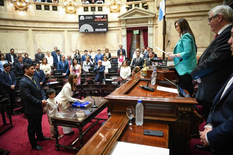 SILVANA SCHNEIDER JURÓ COMO SENADORA NACIONAL