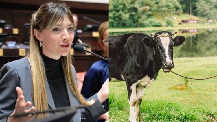 UNA DIPUTADA KIRCHNERISTA QUIERE COBRAR IMPUESTO A LOS FLATOS Y ERUCTOS DE LAS VACAS