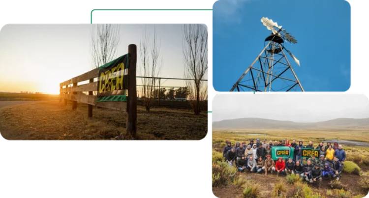EL CAMPO ESPERA POR EL PLAN MILEI: LA SIEMBRA SERÁ MENOR EN 2026 Y "NO ES BUEN MOMENTO PARA INVERTIR"