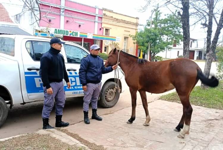 CONMOCIÓN Y DOLOR EN QUITILIPI POR LA MUERTE DE UNA JOVEN QUE COLISIONÓ CONTRA UN CABALLO