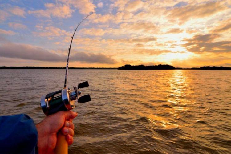 CHACO: LICENCIAS DE PESCA DEPORTIVA TENDRÁN VALIDEZ ENTRE PROVINCIAS DEL LITORAL