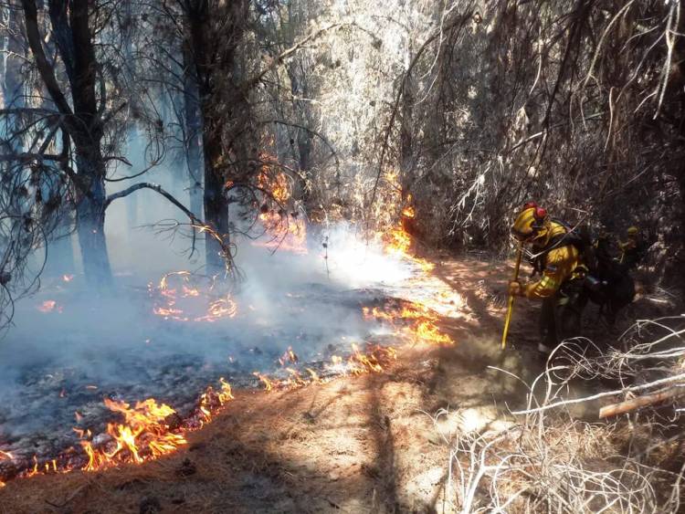 INCENDIOS EN CHUBUT: AGUARDAN A LAS LLUVIAS PARA SOFOCAR LAS LLAMAS
