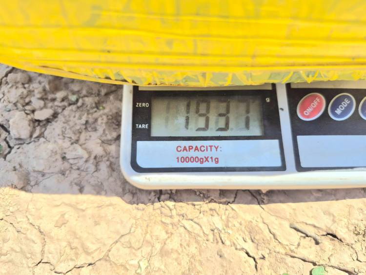 NUNCA VISTO: INCAUTAN UN LADRILLO DE MARIHUANA DE CASI 2 KILOS EN UN CONTROL