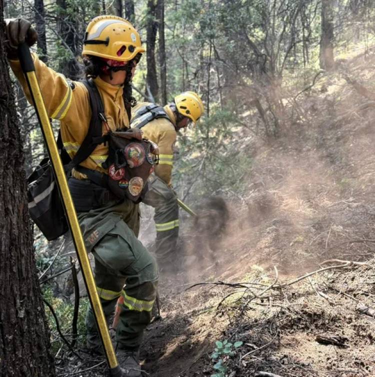 INVESTIGAN LA POSIBLE RESPONSABILIDAD PENAL DE FUNCIONARIOS POR EL INCENDIO EN LOS ALERCES