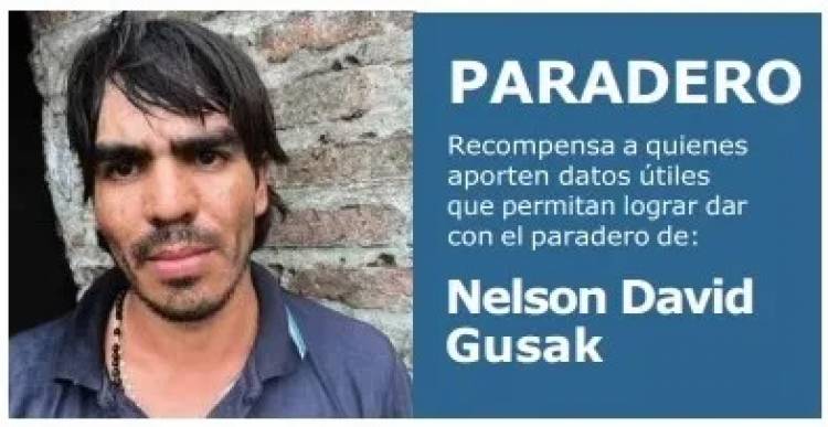 CASO GUSAK: REITERAN UNA RECOMPENSA DE $5 MILLONES PARA QUIEN APORTE DATOS SOBRE SU PARADERO