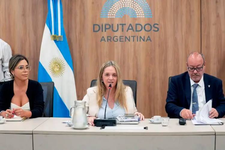ARRANCA EN COMISIONES EL TRATAMIENTO DE LA BAJA DE EDAD DE IMPUTABILIDAD