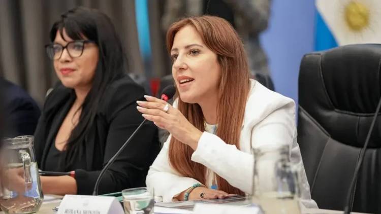 STURZEGATE: DIPUTADOS PIDEN EXPLICACIONES POR LA CONTRATACIÓN DE CANCILLERÍA A LA ASOCIACIÓN DIRIGIDA POR LA ESPOSA DE STURZENEGGER