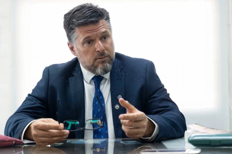 LA PRESIÓN POLÍTICA EN EL CASO LOAN: ¿AYUDA O ENTORPECIMIENTO?