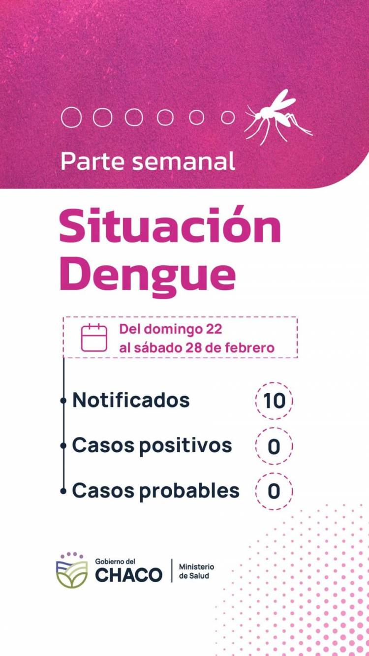 CHACO SIN DENGUE: REFUERZAN LA PREVENCIÓN EN TODA LA PROVINCIA