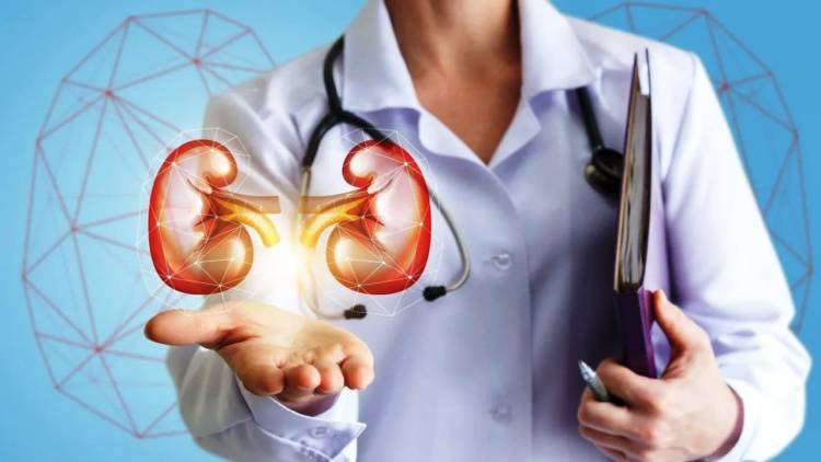 EL 10? LA POBLACIÓN ARGENTINA PRESENTA ALGUNA COMPLICACIÓN RENAL