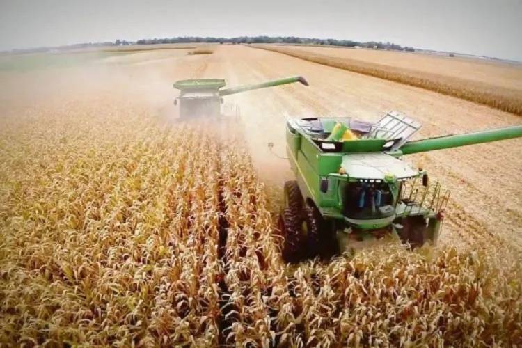 EL ESTADO SE QUEDA CON EL 62,5? LA RENTA AGRÍCOLA Y LA GUERRA DE MEDIO ORIENTE IMPACTÓ EN LOS COSTOS
