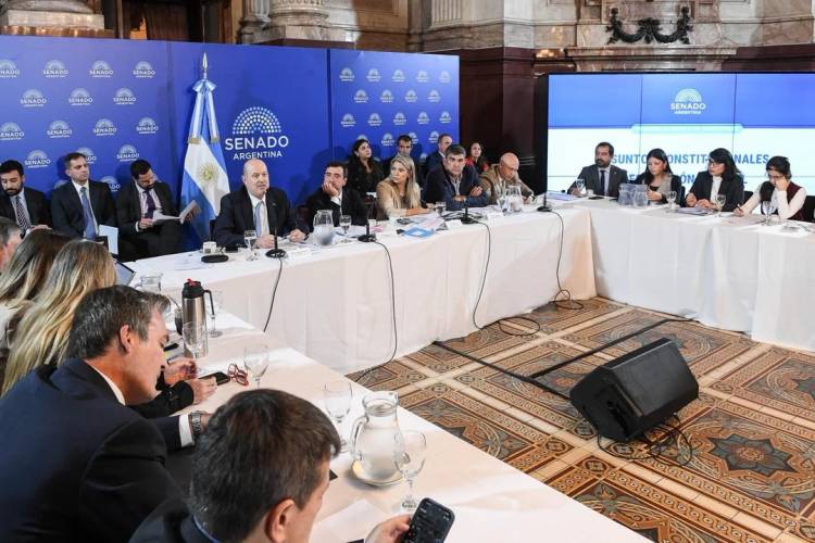 SENADO REANUDA EL DEBATE POR LA INVIOLABILIDAD DE LA PROPIEDAD PRIVADA CON INVITADOS DEL PERONISMO
