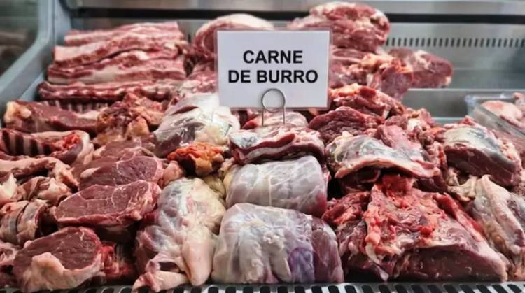 CORTES DE BURRO EN CARNICERÍAS: SORPRESA, CONSULTAS Y ADVERTENCIAS EN EL CHACO