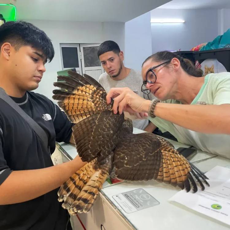 EL REFUGIO DE AVES SILVESTRES PIDE COLABORACIÓN URGENTE